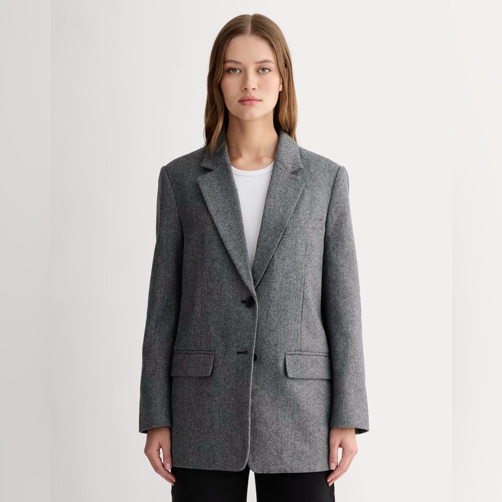 Everlane The Oversized Blazer Size 0